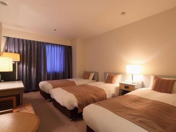 Asahikawa Toyo Hotel image