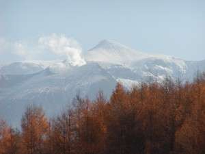 Hotel Park Hills photo