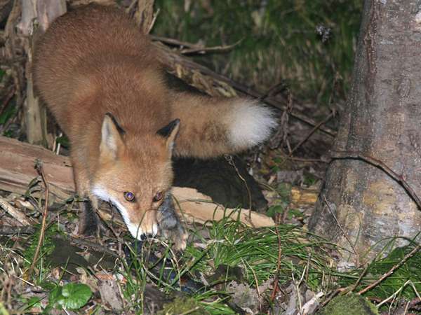 Hotel Chinohate image