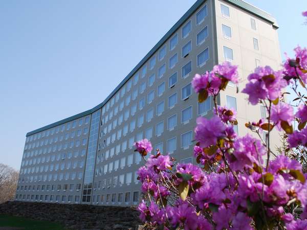 Hotel others image