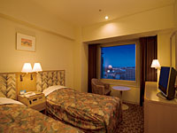 Western style room photo