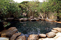Hotel Kawachiya image