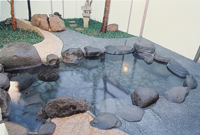 Kurhaus Ishibashi image