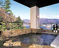 Katsuragawa Seaside Hotel image