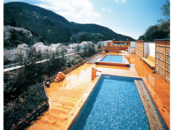 Osawa Onsen Hotel image
