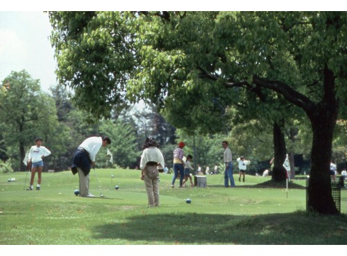 Yamaha Resort Tsumagoi photo