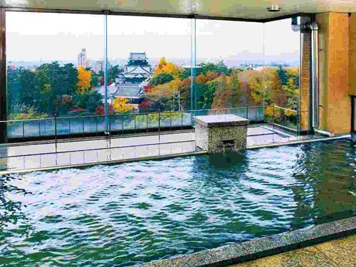 Okazaki New Grand Hotel image