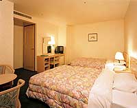 Hida Takayama Washington Hotel Plaza image