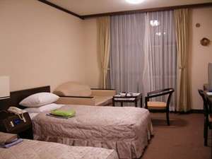 Western style room photo