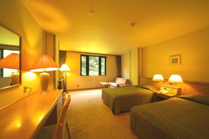 Western style room photo