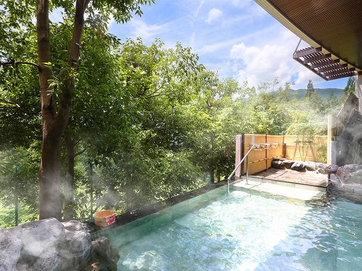 Ooedo Onsen Monogatari Premium Gero Shinkan photo