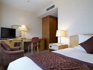 Western style room photo