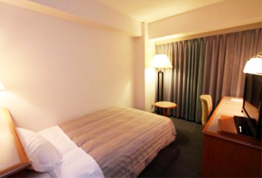 Western style room photo