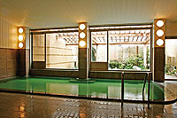 Tsukioka Onsen Hisagoso image