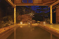 Tsukioka Onsen Mashu image