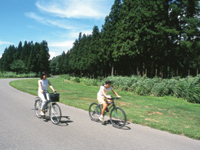 APA Hotel & Resort Joetsu-Myoko image