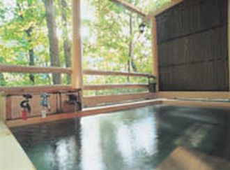 Hotel Shiga Sunvalley image