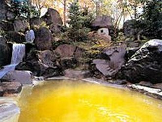 Public open-air bath photo