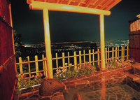 Hotel Selan image