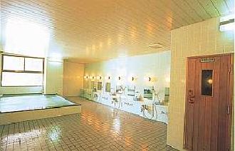 Hotel Chalet Ryuo image