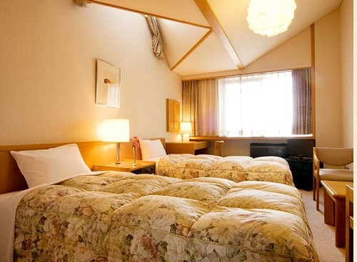 Western style room photo