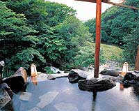 Teteshina Shinyu Onsen image
