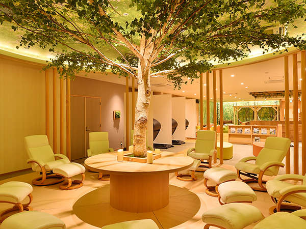 Tateshina Grand Hotel Takinoyu photo