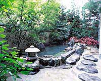 Izumiso image