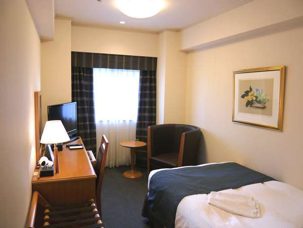 Western style room photo