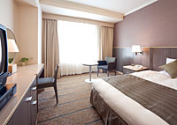 Western style room photo