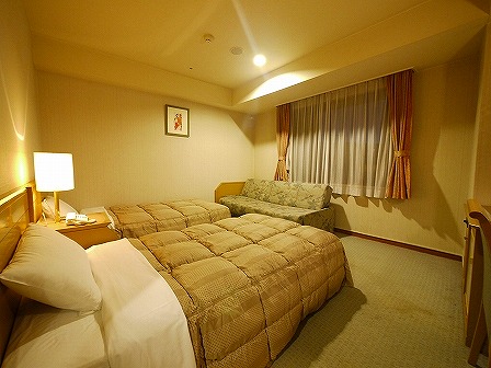 Hotel Route Inn Gotanda image