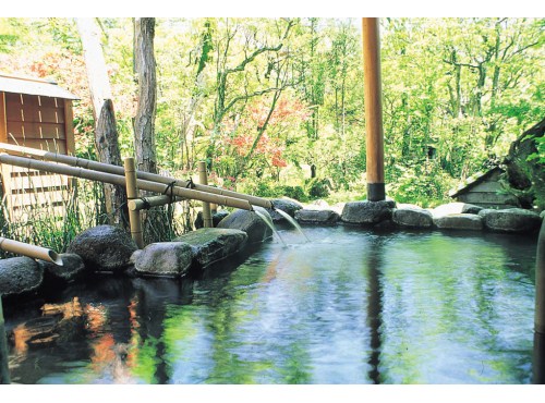 Kinokuniya Ryokan image