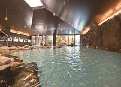 Public Main bath photo