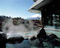 Hotel Kaneyamaen image