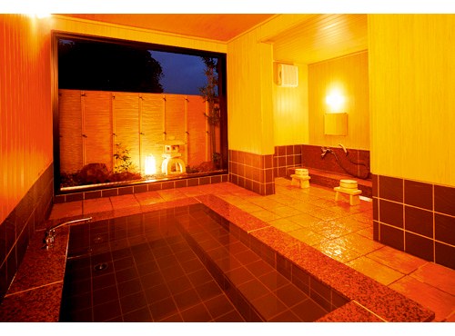 Hotel Akane image