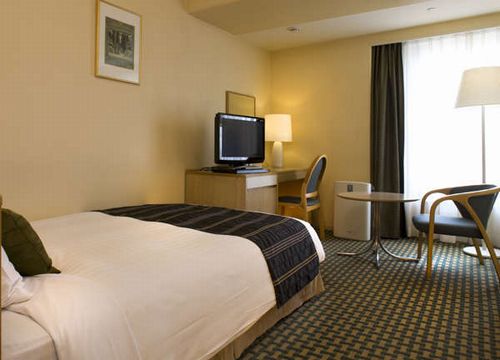 Standard Single photo