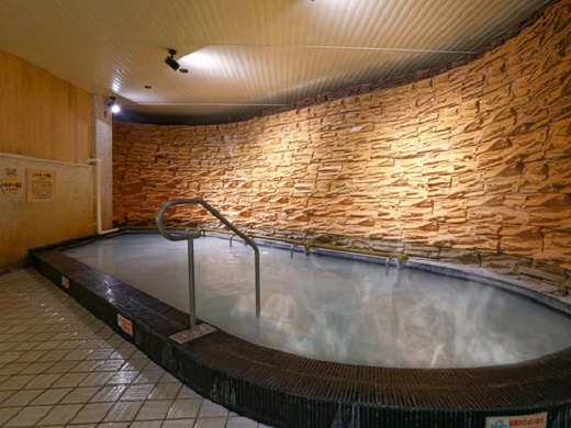 Minoo Kanko Hotel image