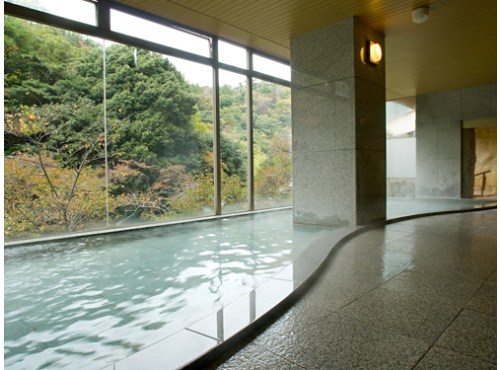 Gekkoen Korokan photo