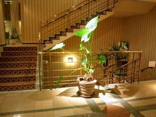 Hotel others image