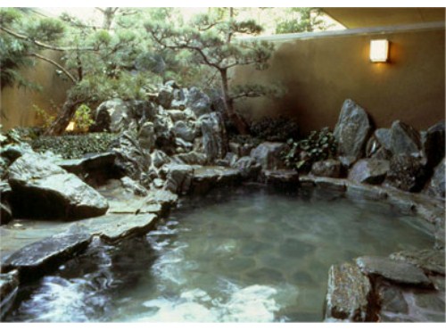 Awaji International Hotel The Sun Plaza image