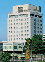Matsue New Urban Hotel Annex image