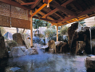 Hotel Gyokusen image