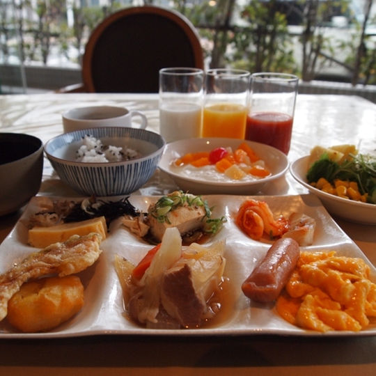 Ark Hotel Okayama photo