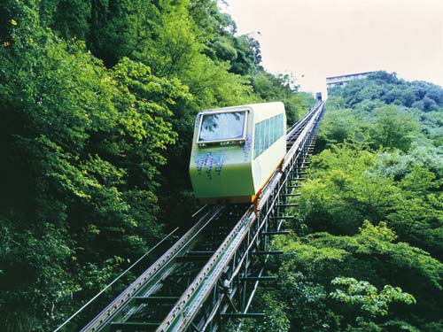 Wanoyado Hotel Iya Onsen image