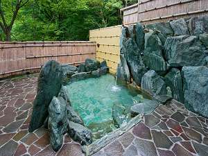 Hotel Hikyonoyu image