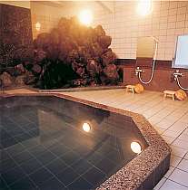 Sankeien image