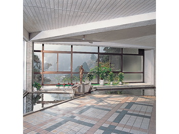 Irodori Koyo image