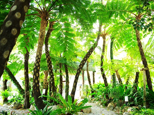 Twin-line Hotel Yanbaru Okinawa photo