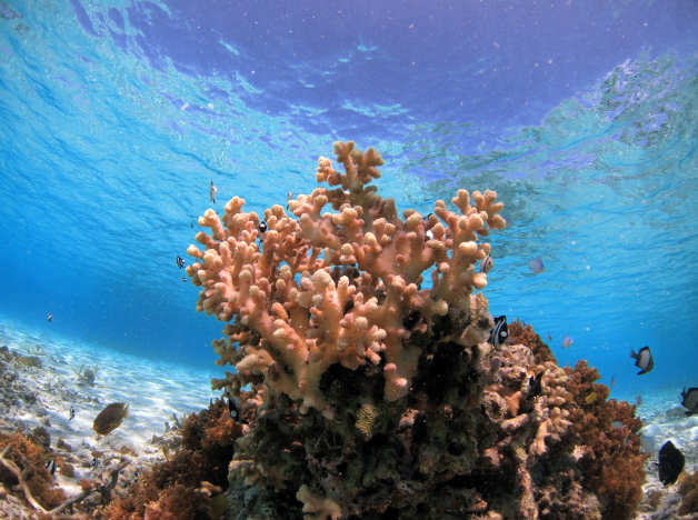 Kerama Beach Hotel image