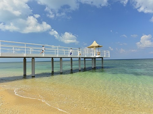 Fusaki Beach Resort Hotel & Villas image